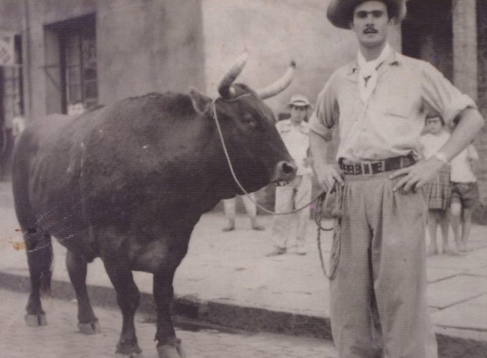 Meu pai e Teixeirinha